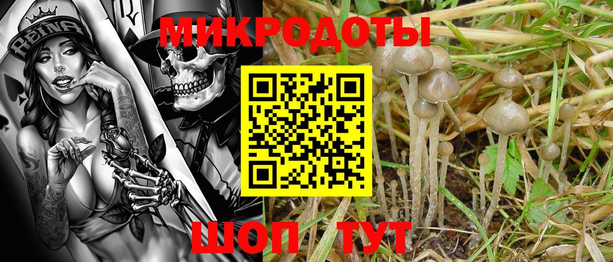 Кизляр  закладка  Вход с VPN  Псилоцибиновые грибы ЛСД 